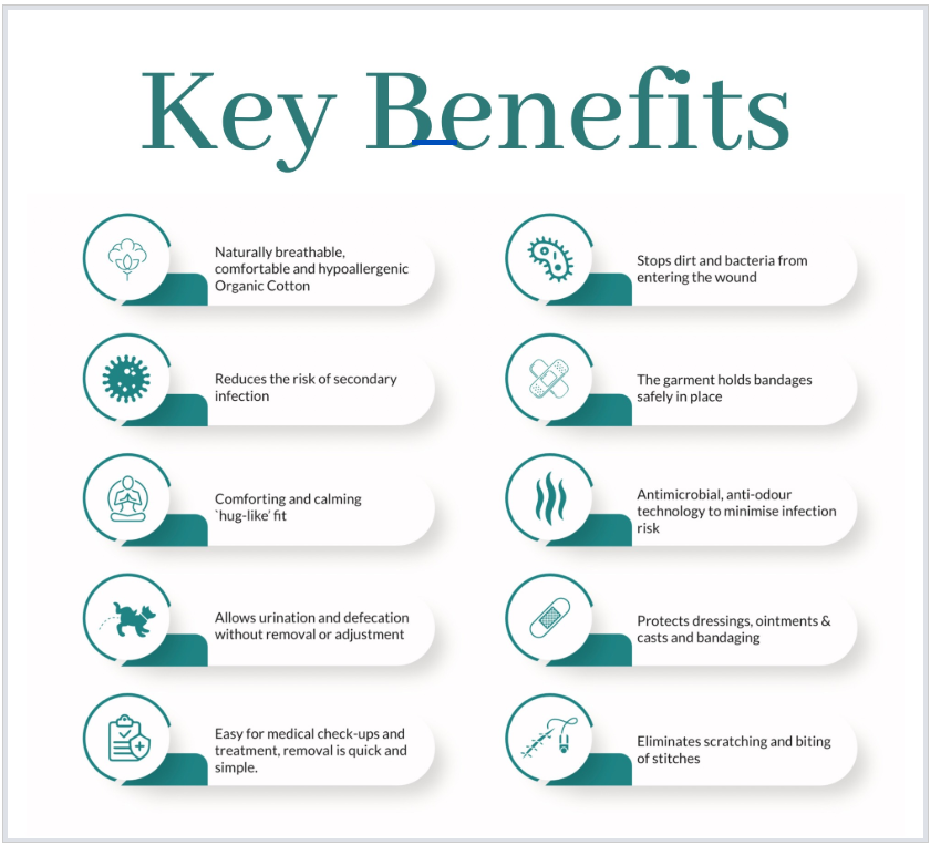 Key Benefits